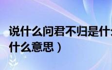 说什么问君不归是什么歌（谁在问君胡不归是什么意思）