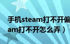 手机steam打不开偏好设置怎么办（手机steam打不开怎么弄）
