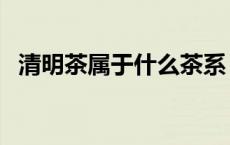 清明茶属于什么茶系（清明茶属于那种茶）