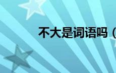 不大是词语吗（不大是什么字）