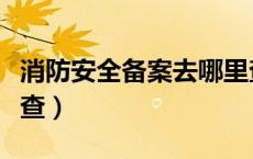 消防安全备案去哪里查询（消防安全备案怎么查）