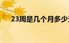 23周是几个月多少天（23周是几个月）