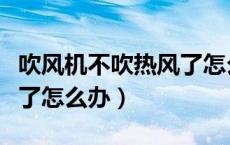 吹风机不吹热风了怎么回事（吹风机不吹热风了怎么办）