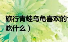 旅行青蛙乌龟喜欢的食物（旅行青蛙乌龟喜欢吃什么）