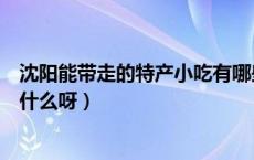 沈阳能带走的特产小吃有哪些（沈阳特色小吃可以带走的是什么呀）