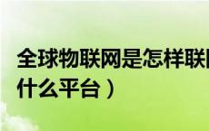 全球物联网是怎样联网（全球物联网到底是个什么平台）