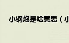 小钢炮是啥意思（小钢炮汽车什么意思）