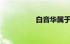 白音华属于内蒙古哪里