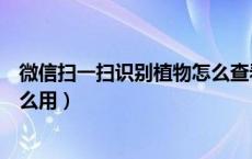 微信扫一扫识别植物怎么查看记录（微信扫一扫识别植物怎么用）