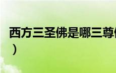 西方三圣佛是哪三尊佛（西方三圣佛是哪三位）