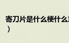 寄刀片是什么梗什么意思（寄刀片是什么意思）
