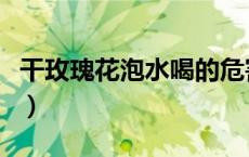 干玫瑰花泡水喝的危害（干玫瑰花泡水放几颗）