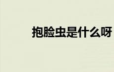 抱脸虫是什么呀（抱脸虫是什么）
