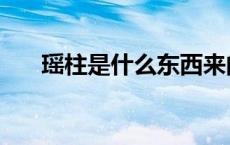 瑶柱是什么东西来的（瑶柱是什么呀）