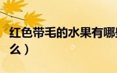 红色带毛的水果有哪些（红色带毛的水果叫什么）