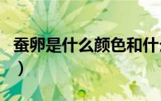 蚕卵是什么颜色和什么形状（蚕卵是什么样的）
