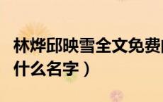 林烨邱映雪全文免费阅读（林烨邱映雪小说叫什么名字）