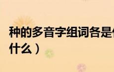 种的多音字组词各是什么（种的多音字组词是什么）