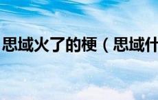 思域火了的梗（思域什么梗 现在终于知道了）
