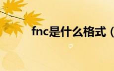 fnc是什么格式（fnc是什么战队）