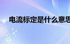 电流标定是什么意思（标定电流是什么）