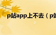 p站app上不去（p站app进不去怎么办）