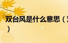 双台风是什么意思（双台风效应又称作什么呢）