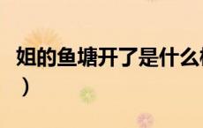 姐的鱼塘开了是什么梗（姐姐的鱼塘是什么梗）