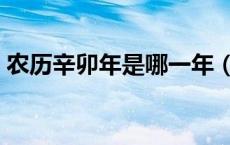 农历辛卯年是哪一年（农历辛卯年是哪一年）