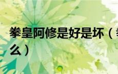 拳皇阿修是好是坏（拳皇阿修的主要目的是什么）