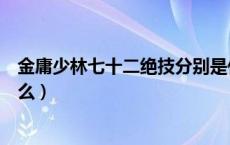 金庸少林七十二绝技分别是什么（少林七十二绝技分别是什么）