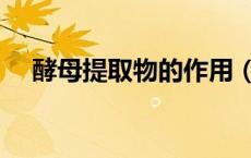 酵母提取物的作用（酵母提取物的作用）
