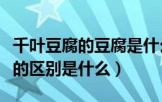 千叶豆腐的豆腐是什么豆腐（千叶豆腐与豆腐的区别是什么）