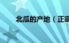 北瓜的产地（正宗的北瓜长什么样）