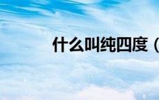 什么叫纯四度（什么叫纯文学）