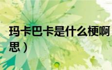 玛卡巴卡是什么梗啊（玛卡巴卡是什么梗啥意思）