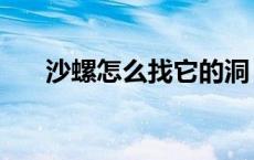沙螺怎么找它的洞（沙螺怎么做好吃）