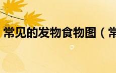 常见的发物食物图（常见的发物食物有哪些）