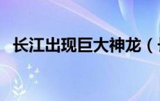 长江出现巨大神龙（长江出现大龙真的吗）