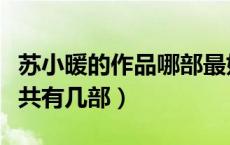 苏小暖的作品哪部最好（苏小暖的一世倾城总共有几部）
