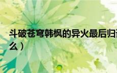 斗破苍穹韩枫的异火最后归谁了（斗破苍穹韩枫的异火是什么）