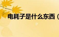 电耗子是什么东西（电耗子是什么英雄）