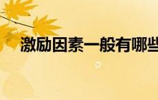 激励因素一般有哪些（激励因素有哪些）