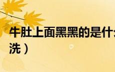 牛肚上面黑黑的是什么（牛肚上面黑黑的怎么洗）