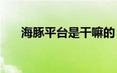 海豚平台是干嘛的（海豚网是真的吗）