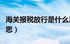 海关报税放行是什么意思（报关放行是什么意思）