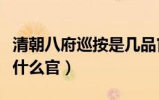 清朝八府巡按是几品官（清朝初期八府巡按是什么官）