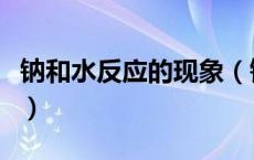 钠和水反应的现象（钠和水反应的现象是什么）