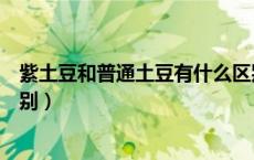 紫土豆和普通土豆有什么区别（黑土豆和普通土豆有什么区别）