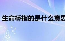生命桥指的是什么意思（生命桥指的是什么）
